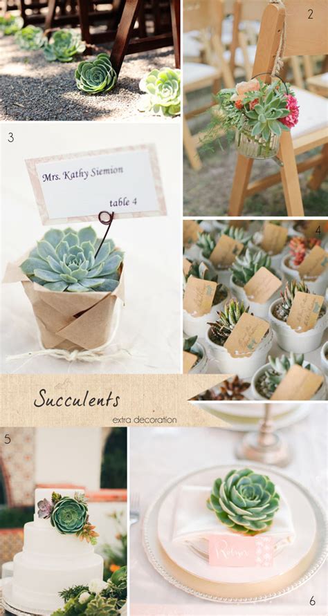 Succulents Wedding Get To Know Your Wedding Flowers