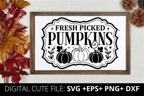 Fresh Picked Pumpkins Svg Fall Svg Graphic By CraftSVG Creative Fabrica