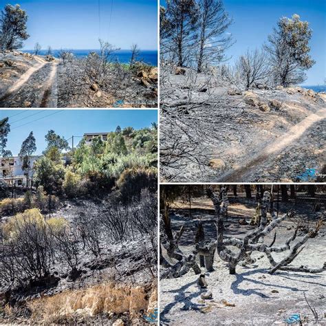 Pula La Desolazione Dopo L Inferno Di Fuoco Scoperti Gli Incendiari