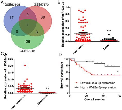 MiR 92a 3p Is Downregulated In Wilms Tumors A We Obtained A Common