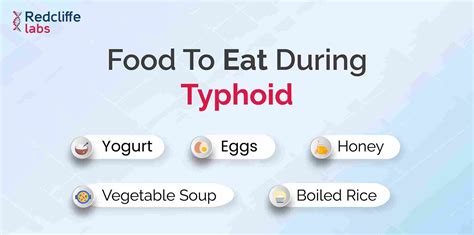 Food To Eat During Typhoid