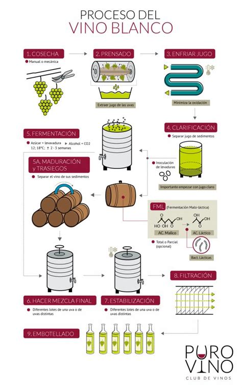 Infograf As Sobre La Elaboraci N Del Vino Vinopack