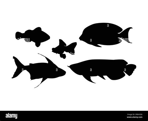 Set Of Fishes Silhouette Isolated On A White Background Vector