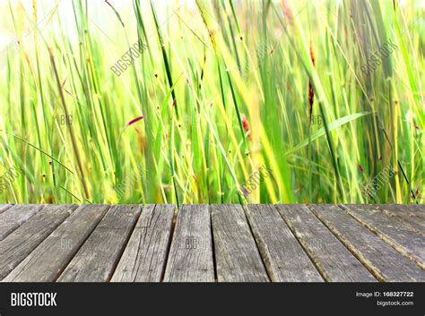 Wood Table On Grass Image And Photo Free Trial Bigstock