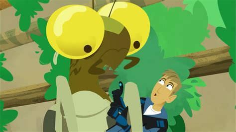 Liturgusa Krattorum Gallery Wild Kratts Wiki Fandom Powered By Wikia