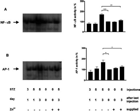 Ex Vivo Activity Of Nf J B A And Ap B In Islets Of Male C Bl