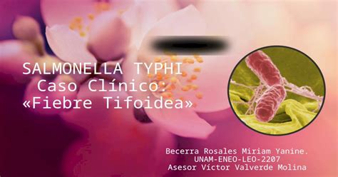 Salmonella Typhi Caso Clínico De Fiebre Tifoidea Pptx Powerpoint