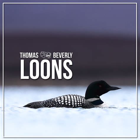 LOONS: a new library filled with the haunting tunes of Common and Red