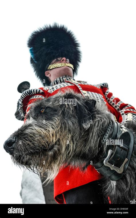 Irish Guard Mascot Hi Res Stock Photography And Images Alamy