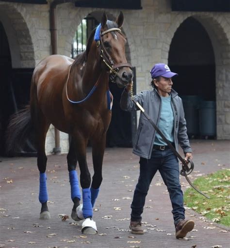 Flightline Runs for America’s Biggest Racing Payday...and for History