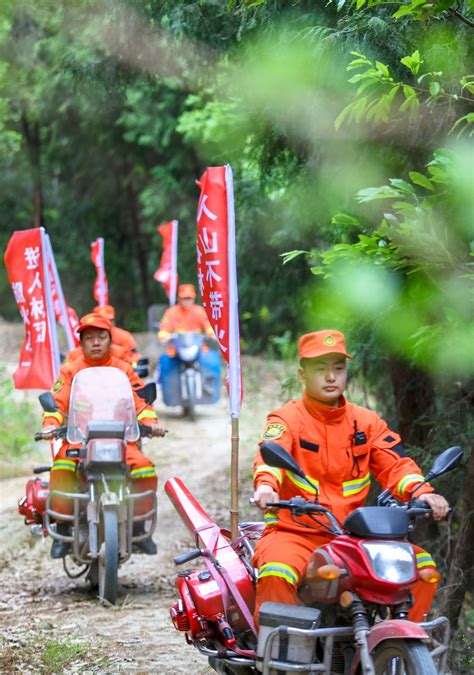 经济观察丨四川省发布第一号总林长令 全面巡林 92万名林长护青山四川在线