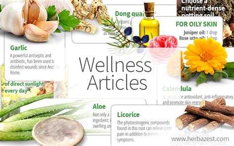 Wellness Articles Herbazest