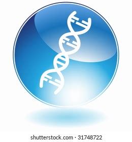 Dna Health Logo Stock Vector Royalty Free Shutterstock