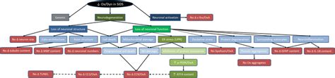 Flow diagram of examined neurodegenerative pathways investigated in ...