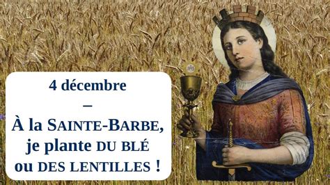 Planter du blé et des lentilles à la Sainte Barbe YouTube