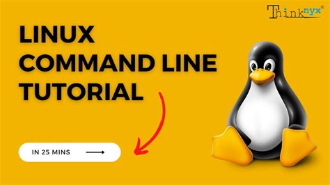 Linux Command Line Tutorial Linux Terminal YouTube