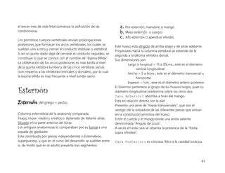 2 UNIDAD COLUMNA VERTEBRAL Y TORAX 2 Complementario Pdf