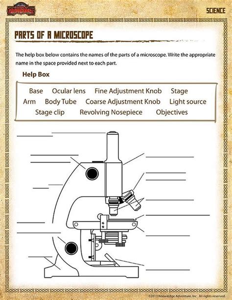 Activity Worksheet About Microscope