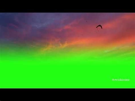 A Bird Flying In The Sky With A Rainbow Colored Sky Behind It And Green