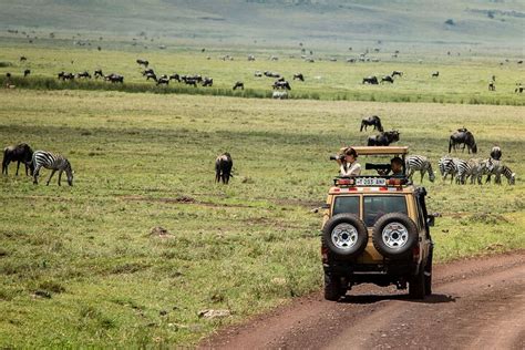 Tripadvisor Gita Di Un Giorno Intero Al Parco Nazionale Del Tarangire