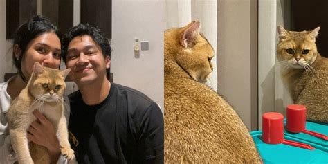 Potret Mikha Tambayong Dan Deva Mahenra Pamer Kucing Cantik Dibilang