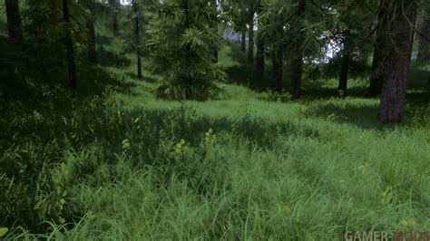 Трава Моджо / Mojo Grass - Графика - TES V: Skyrim LE - Моды на русском ...