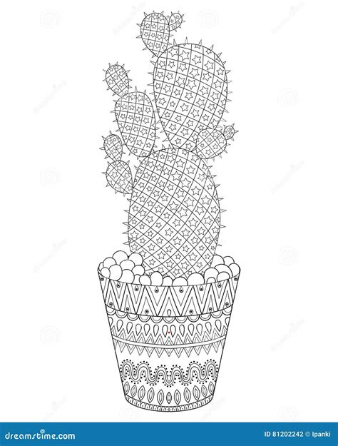 Zentangle Cactus Set Vector Illustration Hand Drawn Outline De