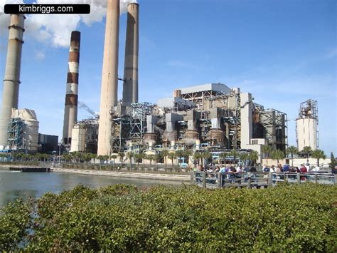 Manatee Viewing at Tampa Electric - kimbriggs.com