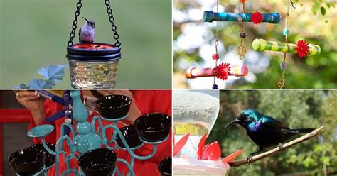 Diy Hummingbird Feeder Ideas Balcony Garden Web