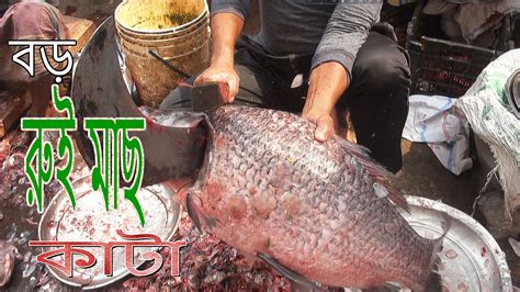 Fish Cutting Skillsবাজারে দক্ষ হাতে বড় মাছ কাটারুই মাছ কাটা Youtube