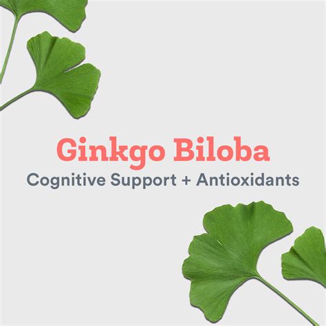 Top Health Benefits Of Ginkgo Biloba JoyÀ