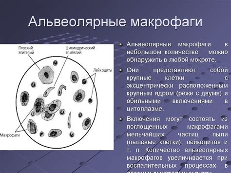 Исследование мокроты - презентация онлайн
