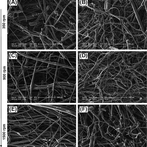 Low Magnification Sem Images Of Centrifugal Melt Spun Nonwoven Pla