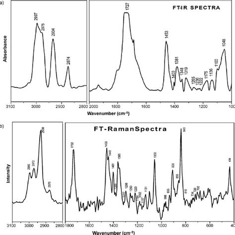 A Fourier Transform Infrared Spectroscopy Of ␤ Form Of Poly