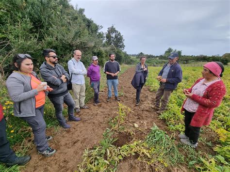 Gira de Magíster en Desarrollo Rural permitió a estudiantes conocer