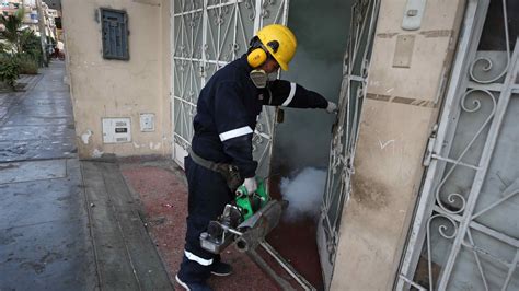 Guatemala Declara Emergencia Nacional Tras Brote De Dengue Que Deja