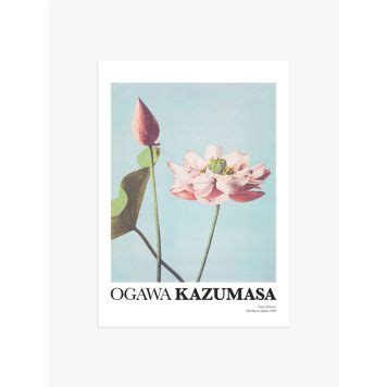 Poster Postery Lotus Flowers By Ogawa Kazumasa X Bauhaus