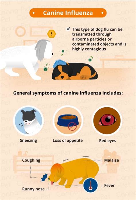 Common Causes Of Puppy Coughing Canna Pet®