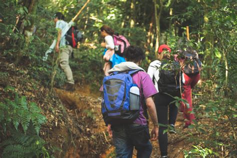 Turismo Ecol Gico E Sustent Vel Turismo Chapada Dos Veadeiros