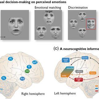 Pdf A Neurocognitive Model Of Perceptual Decision Making On Emotional