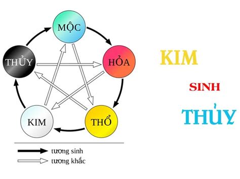 Kim sinh Thủy là gì, tốt hay xấu? Ý nghĩa trong đời sống?