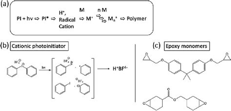 (a) Schematic representation of the cationic photopolymerization... | Download Scientific Diagram