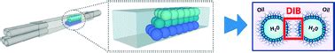 A Microfluidic Approach For High Throughput Droplet Interface Bilayer