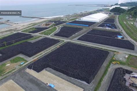 Fukushima – The Apocalypse Aftermath (28 pics) - Izismile.com