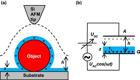 Geometry And Set Up Of Kfm Measurements A Conductive Afm Tip Scanned