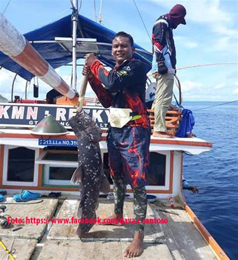 Ikan Purba Ditemukan Di Raja Ampat Beda Dengan Coelacanth Di Manado