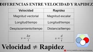 Velocidad vs Rapidez Cuál es la Diferencia