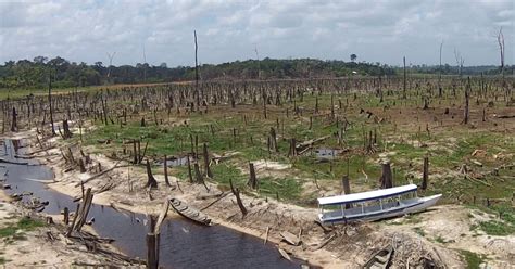 Bom Dia Brasil Seca Deixa Quatro Municípios Em Situação De Emergência