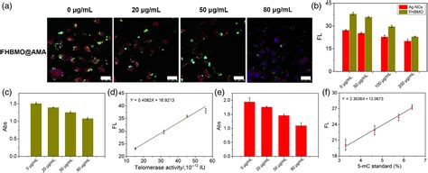 Simultaneous And Spatial Quantification Of Telomerase Activity And Dna Methylation In Living