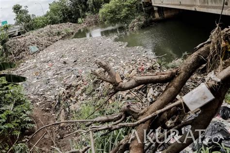 Awas Buang Sampah Sembarangan Di Bengkalis Kena Denda Rp2 5 Juta Akurat